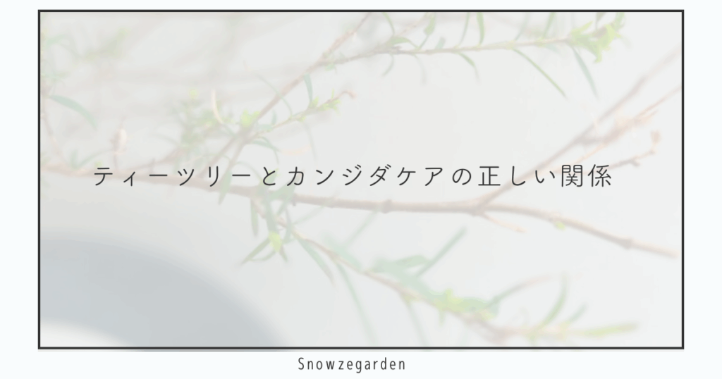 ティーツリーの枝が淡くぼかされた背景に「ティーツリーとカンジダケアの正しい関係」と記されたSnowzegarden公式ブログのトップ画像。