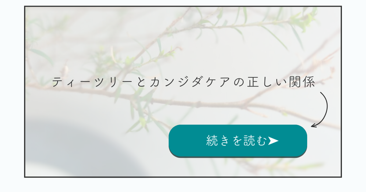 ティーツリーの枝を背景に「ティーツリーとカンジダケアの正しい関係」と記されたSnowzegardenのアイキャッチ画像。