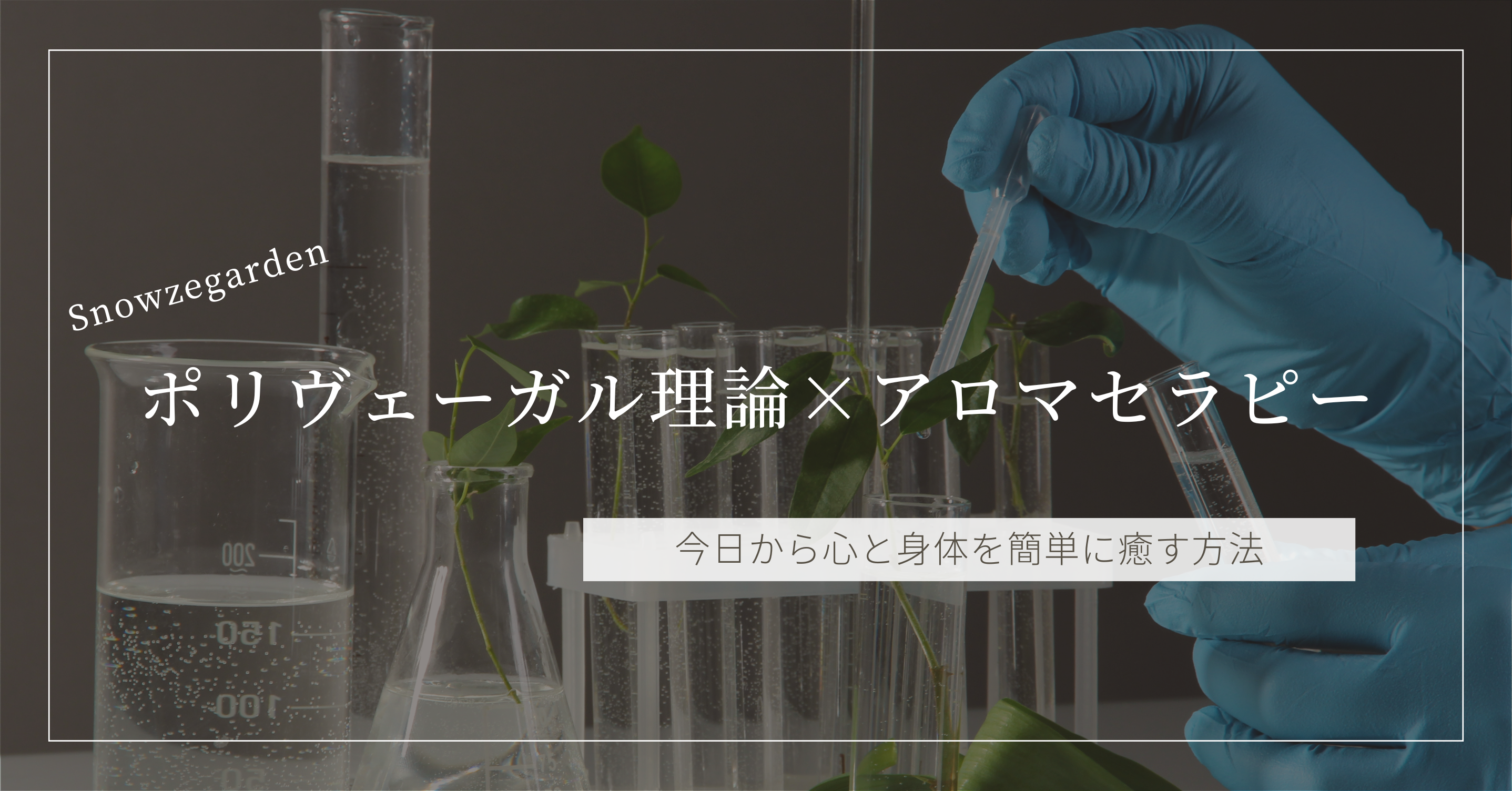 ポリヴェーガル理論×アロマセラピーで、今日から心と身体を簡単に癒す方法