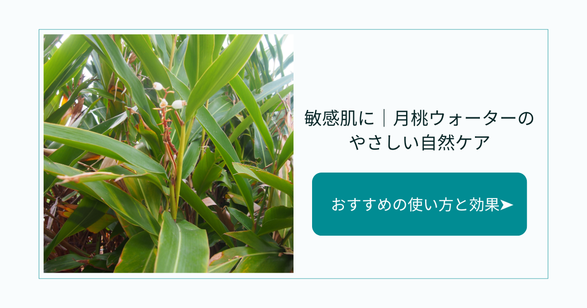 月桃ウォーターおすすめの使い方と効果｜敏感肌・年齢肌にもやさしい自然派ケア