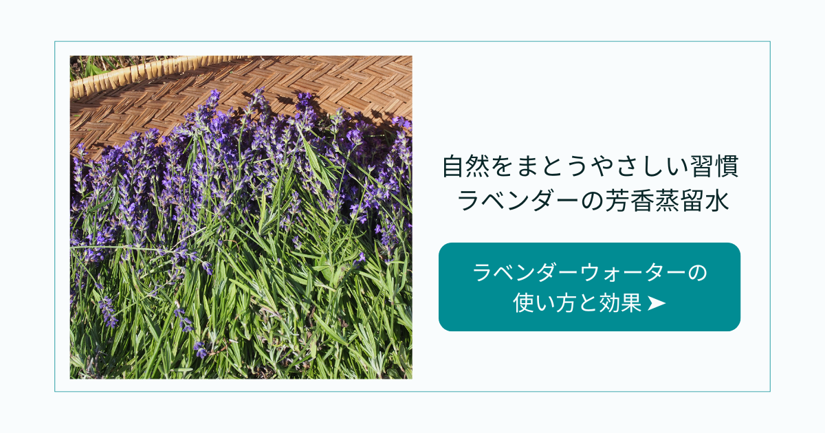 自然をまとうやさしい習慣│ラベンダーの芳香蒸留水