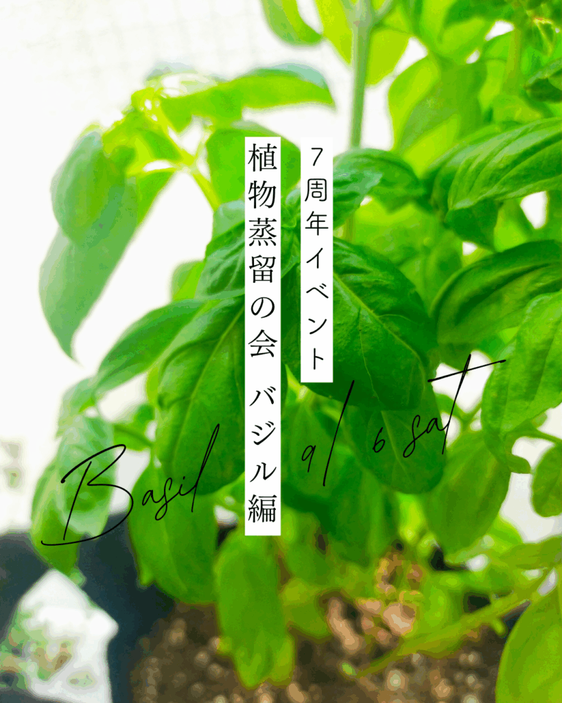 ７月イベントイラスト。バジルの葉。