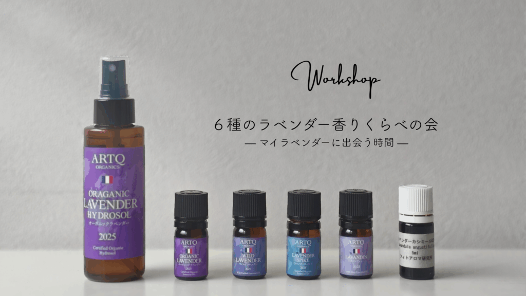 ラベンダーの違いを楽しむ、6種のラベンダーが並ぶ写真