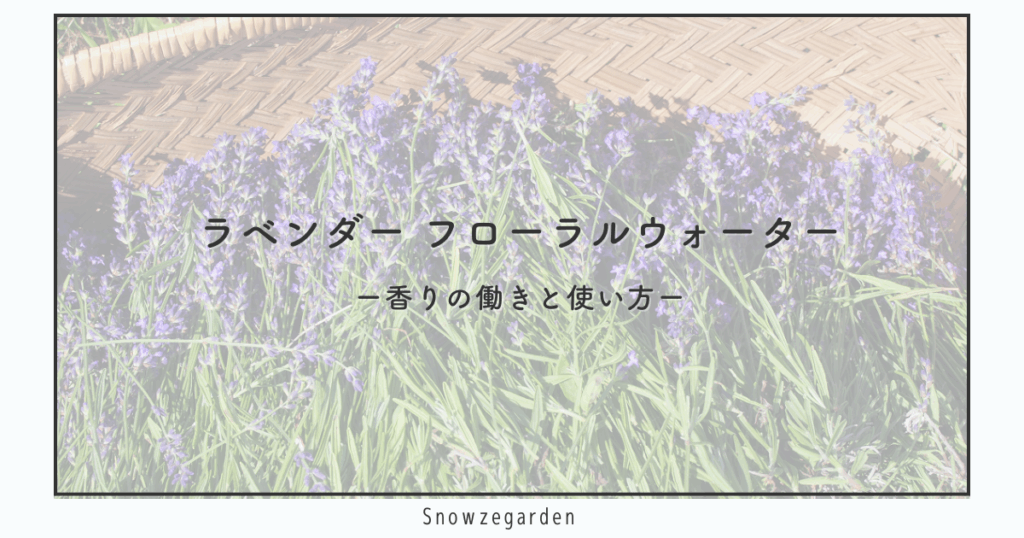 ラベンダーフローラルウォーターの記事アイキャッチ。ラベンダーの束を背景に、香りの働きと使い方を解説するページに使用。
