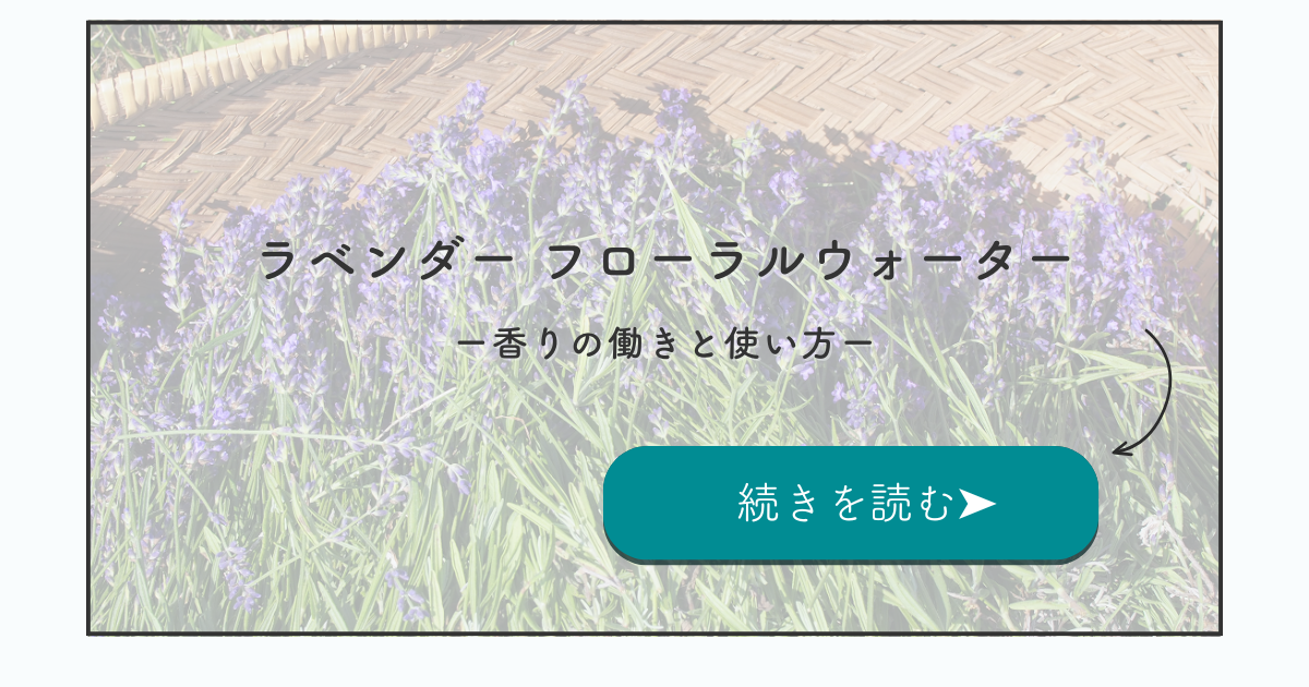 ラベンダーのフローラルウォーター｜香りの働きと使い方を看護師セラピストが紹介