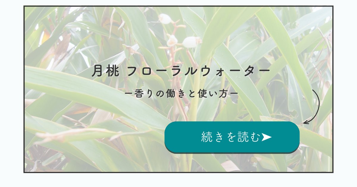 月桃のフローラルウォーター｜香りの働きと使い方を看護師セラピストが紹介